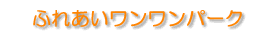 ӂꂠp[N