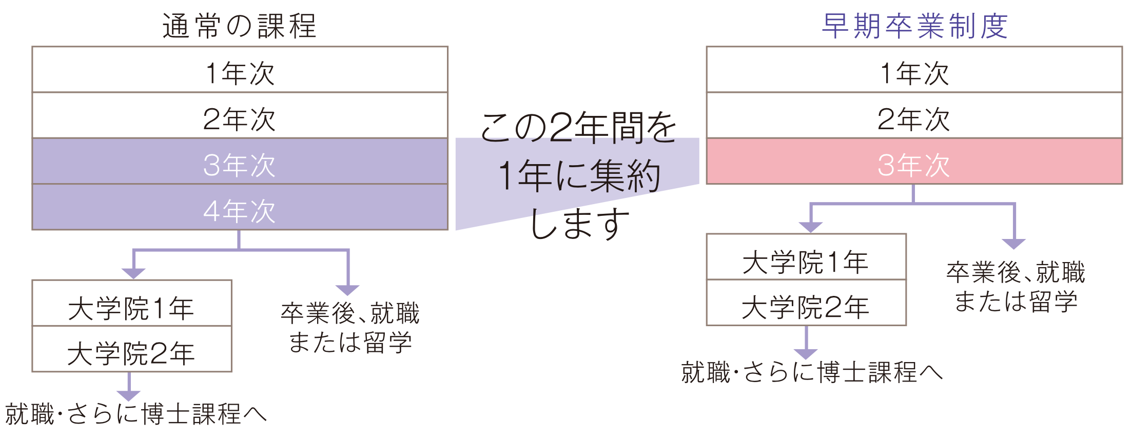 大学 早期 卒業