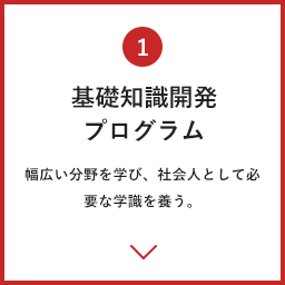 基礎知識開発プログラム